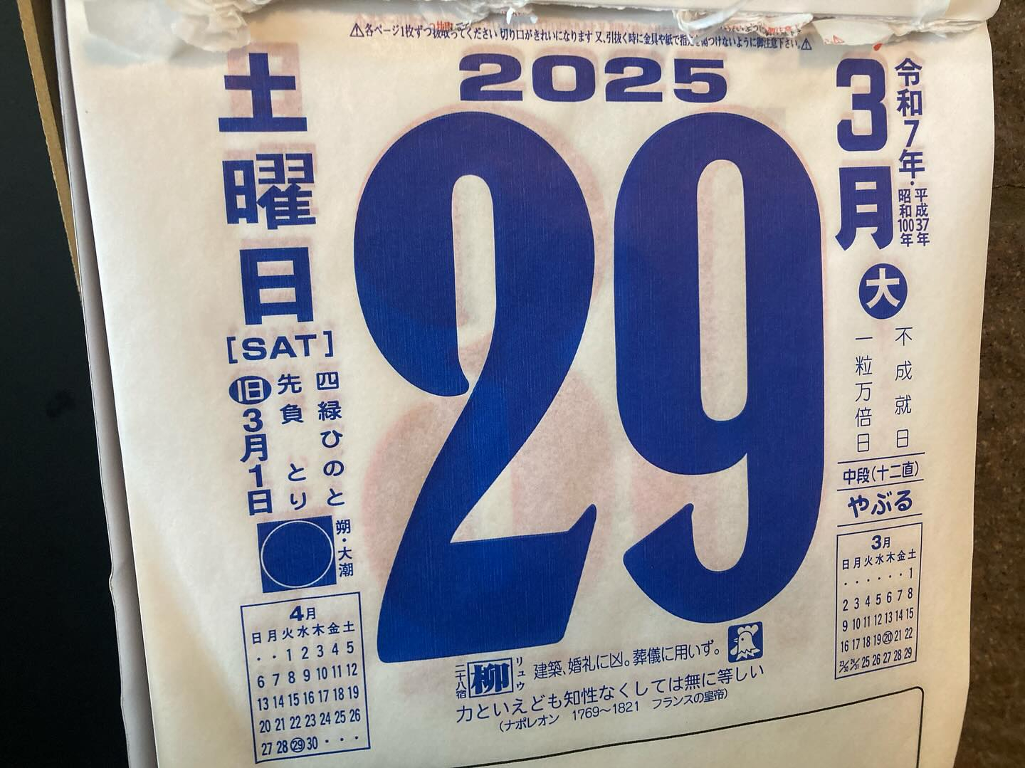 本日のおすすめ