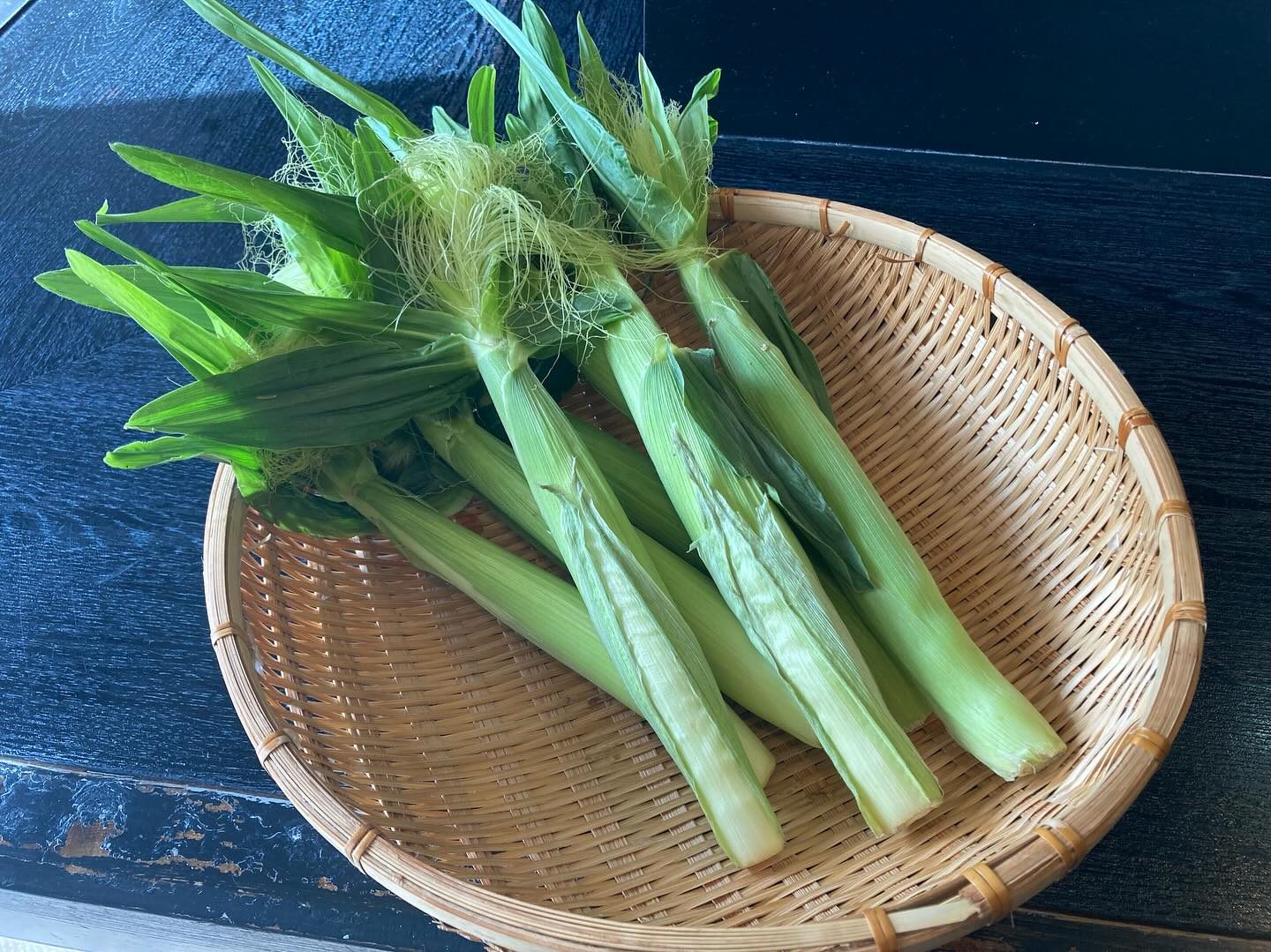本日のおすすめ