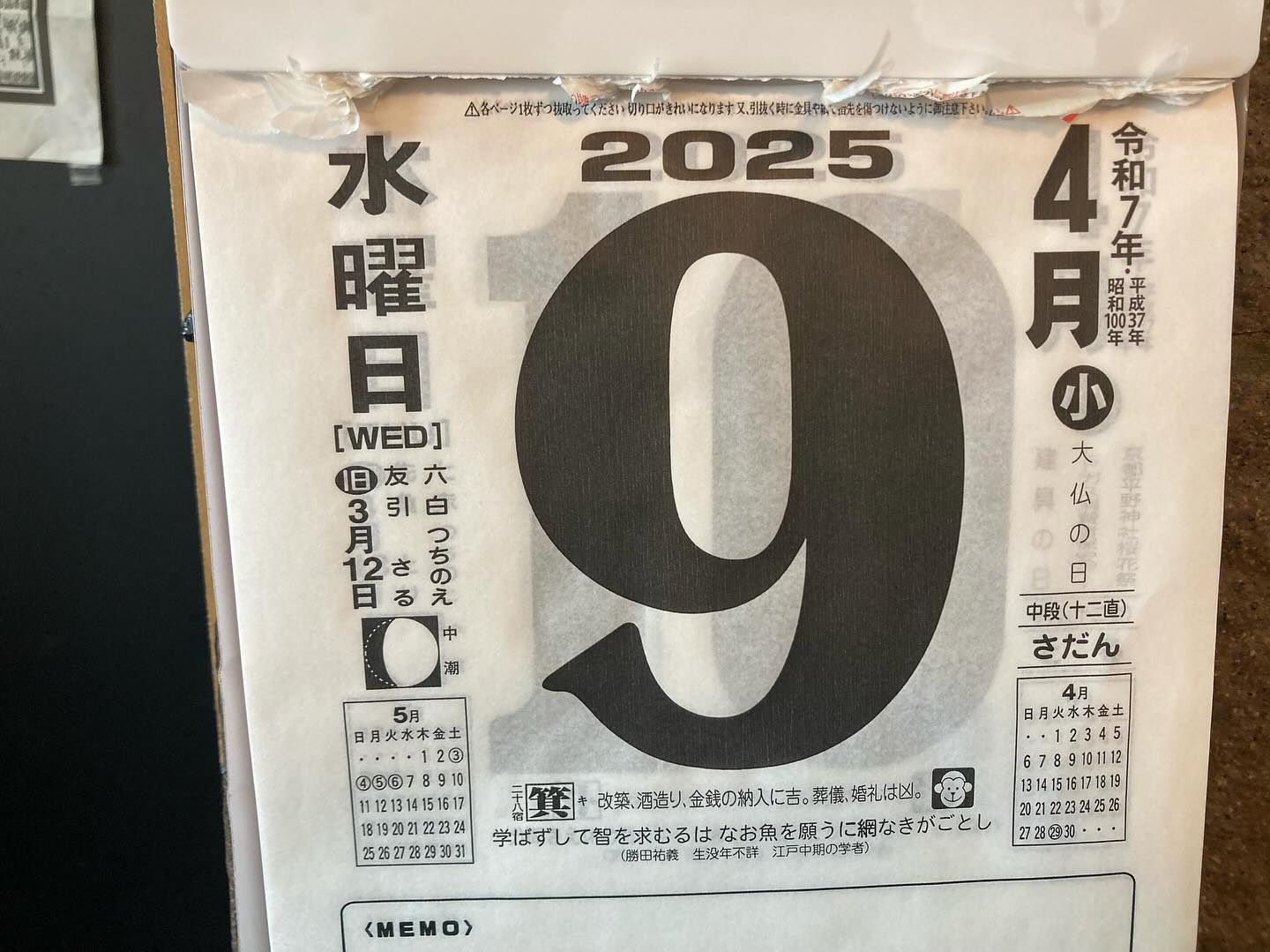 本日のおすすめ