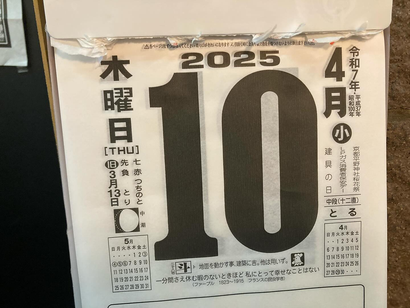 本日のおすすめ