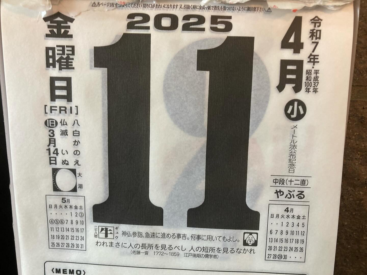 本日のおすすめ