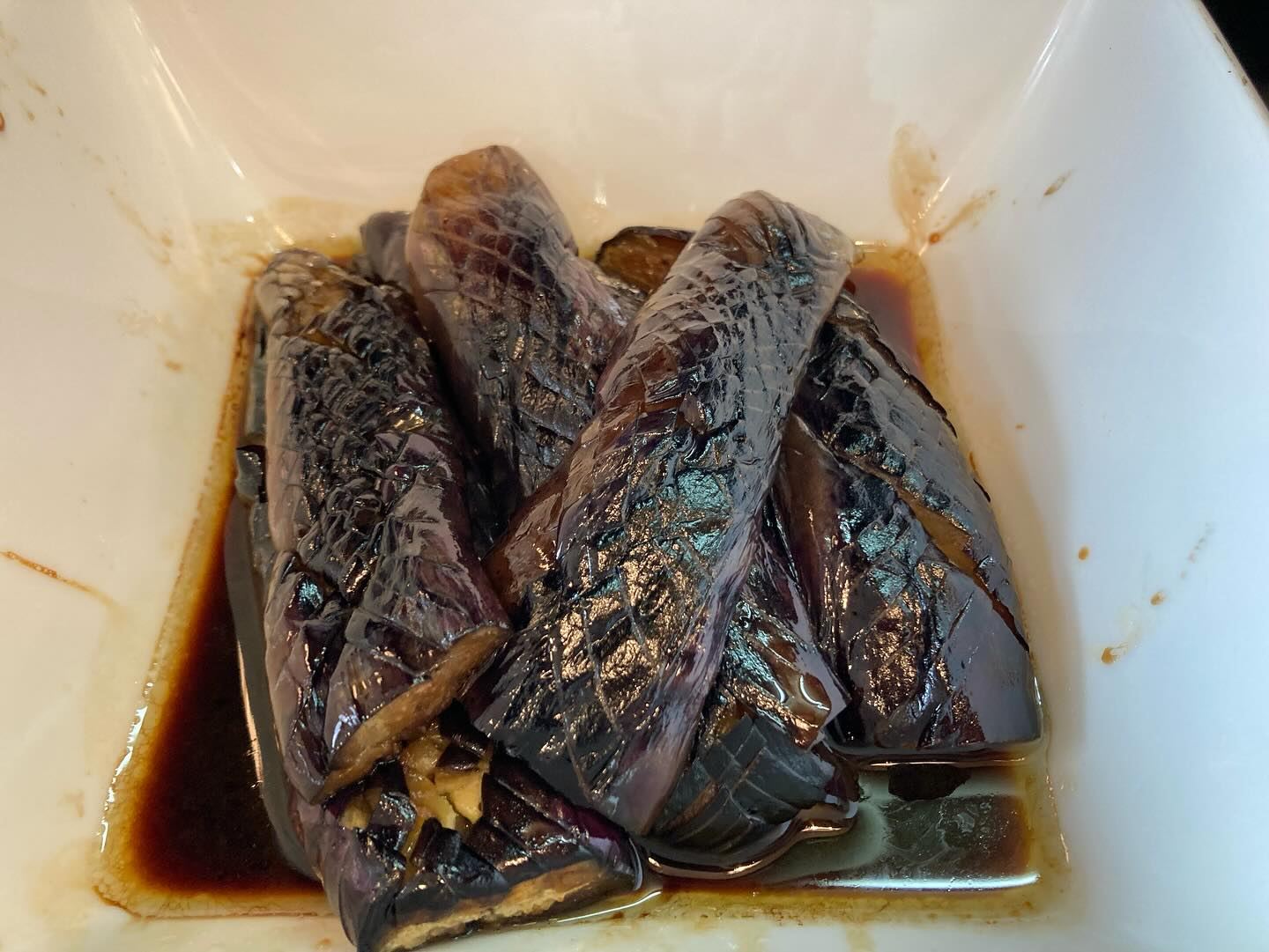 本日のおすすめ