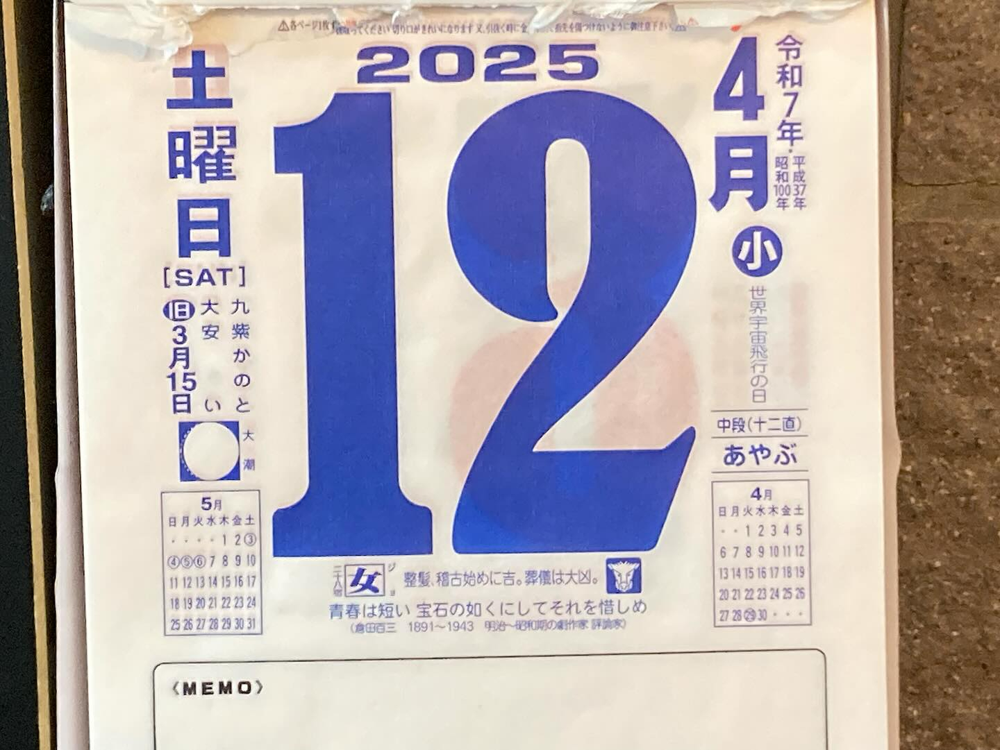 本日のおすすめ