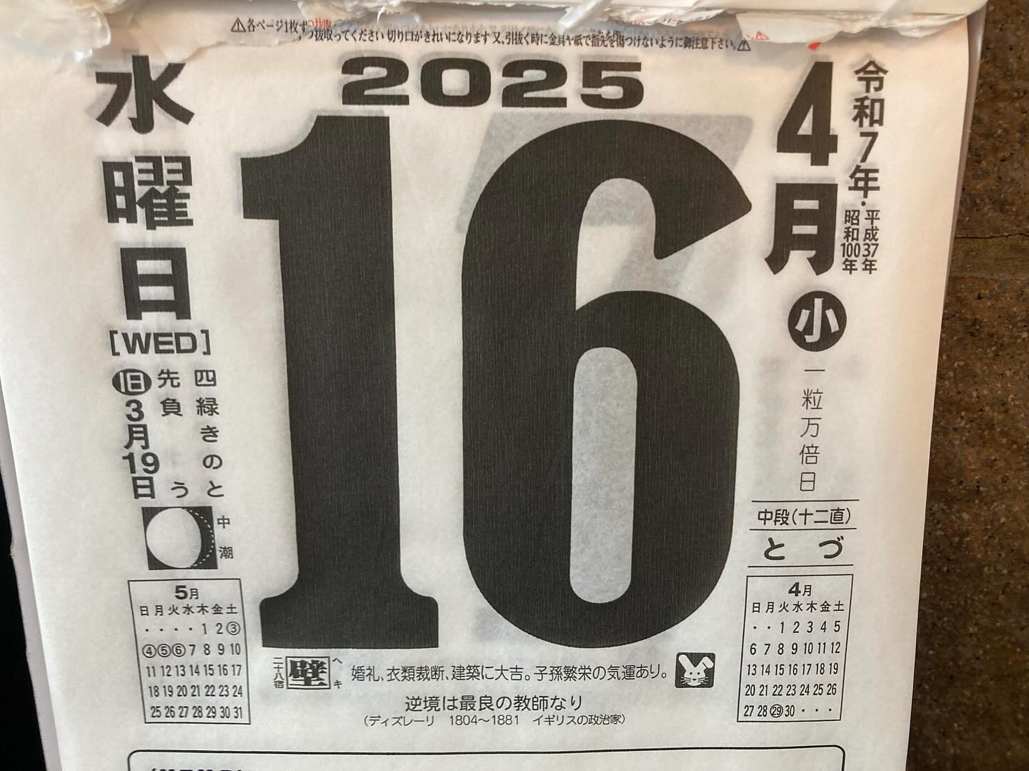 本日のおすすめ