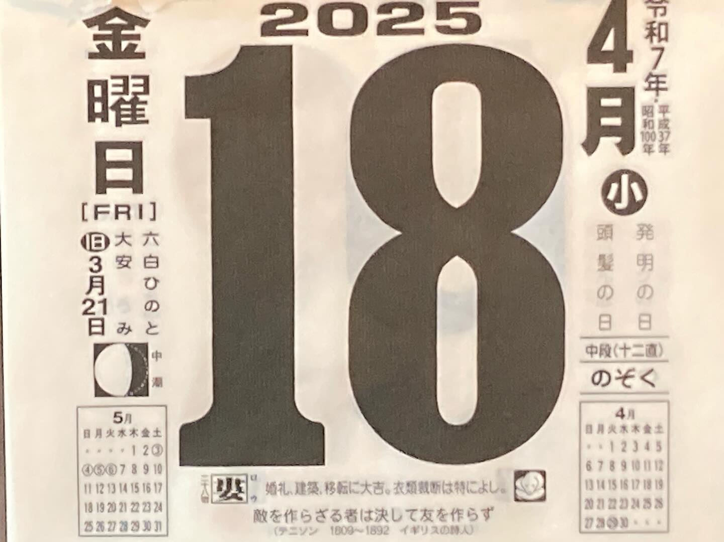 本日のおすすめ