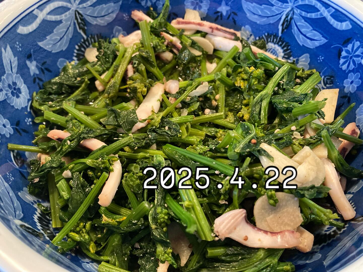 本日のおすすめ