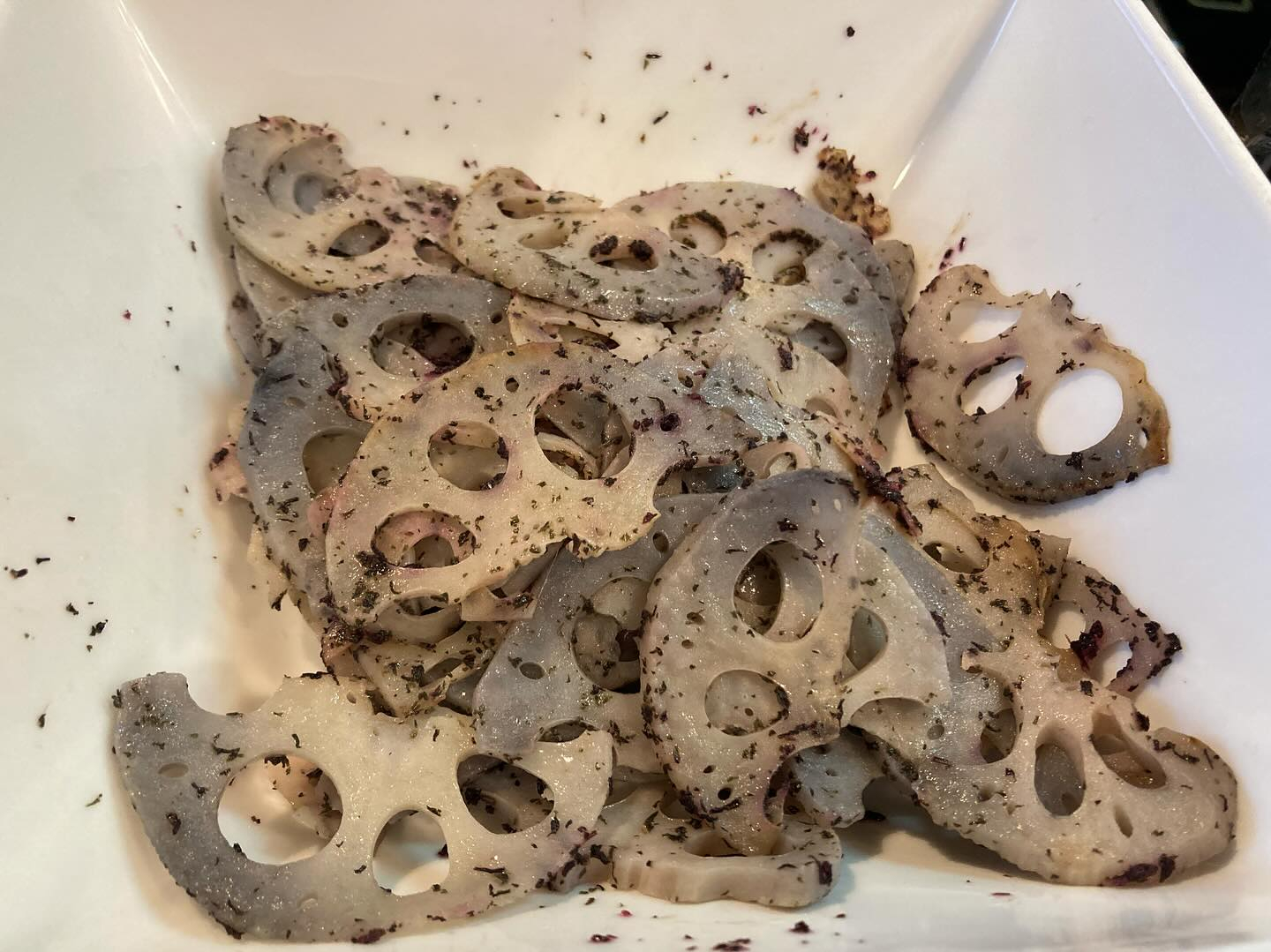 本日のおすすめ