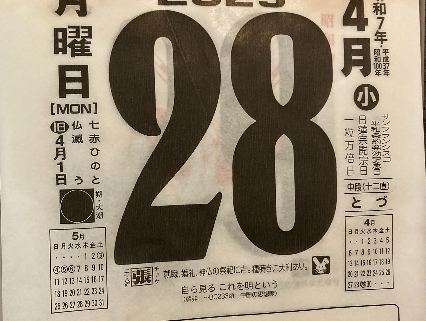 本日のおすすめ