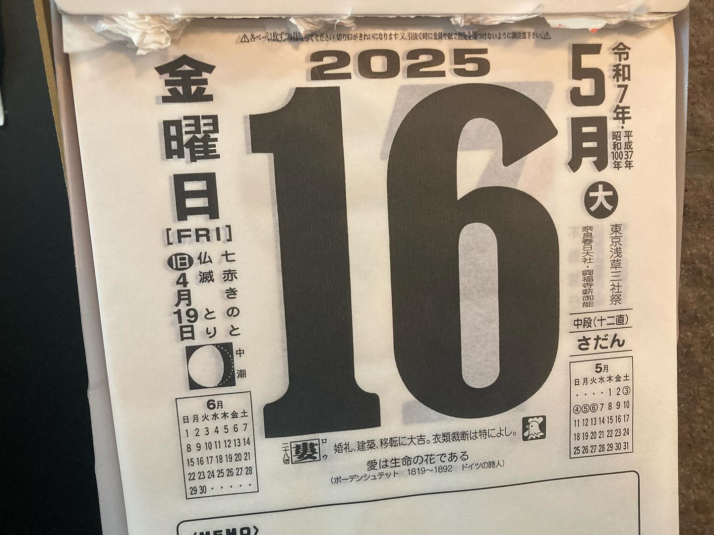 本日のおすすめ