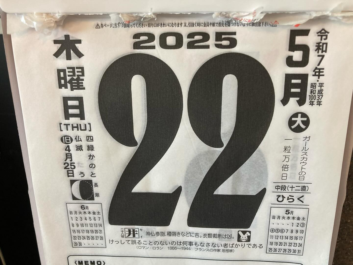 本日のおすすめ