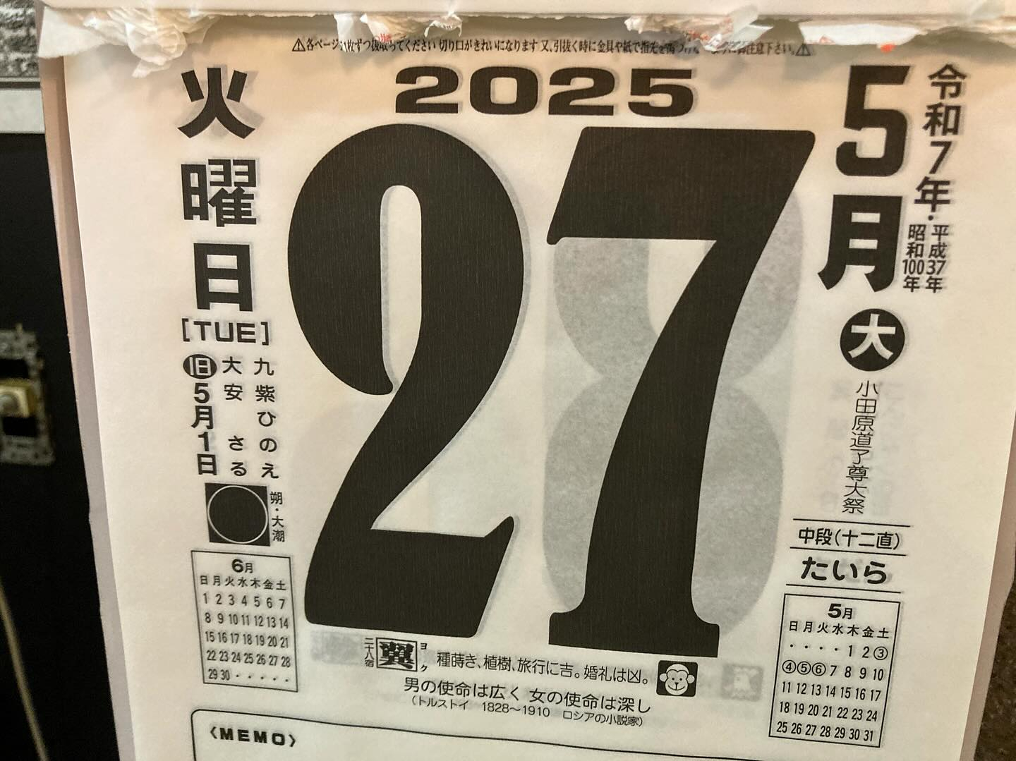 本日のおすすめ