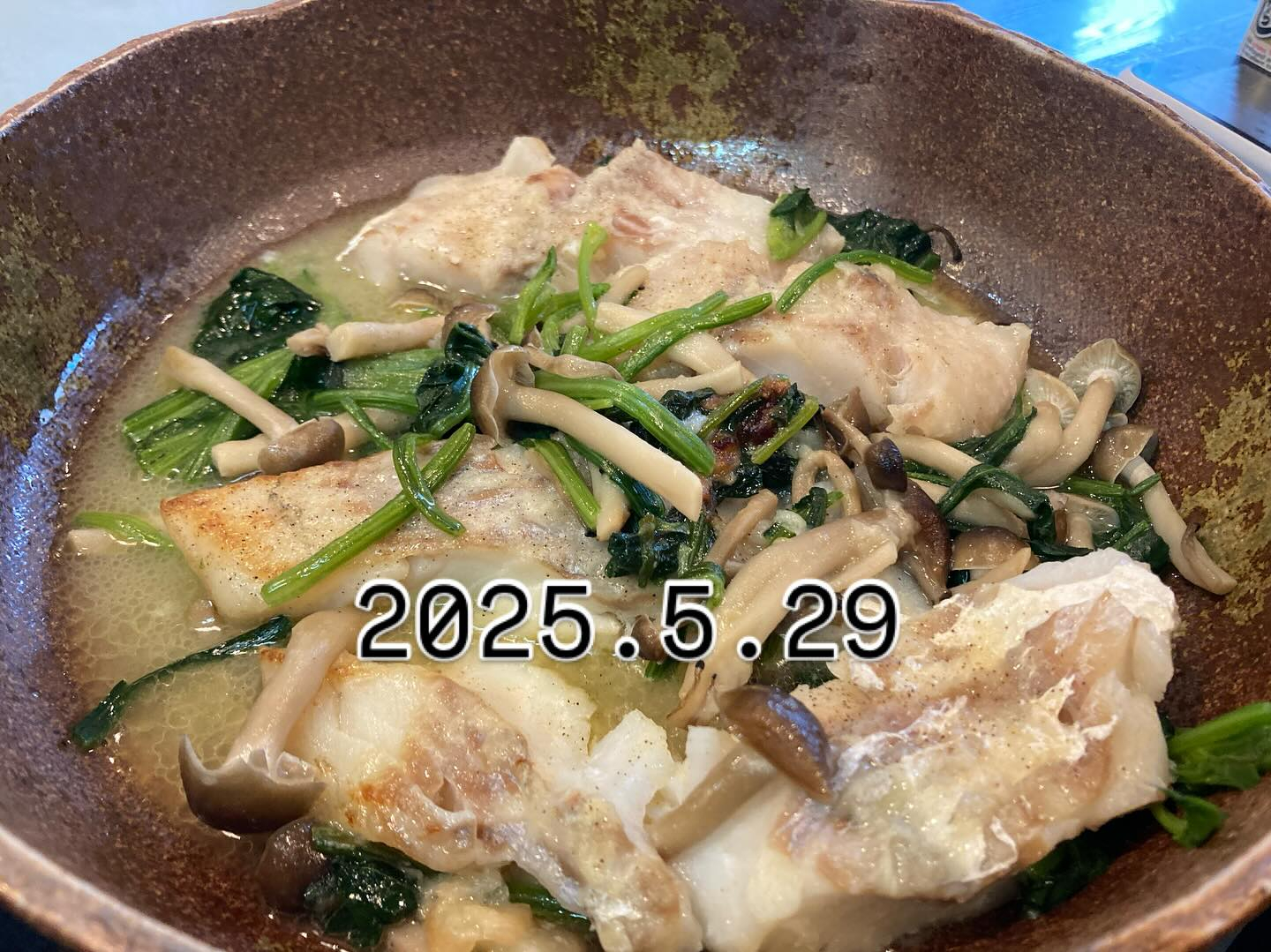 本日のおすすめ