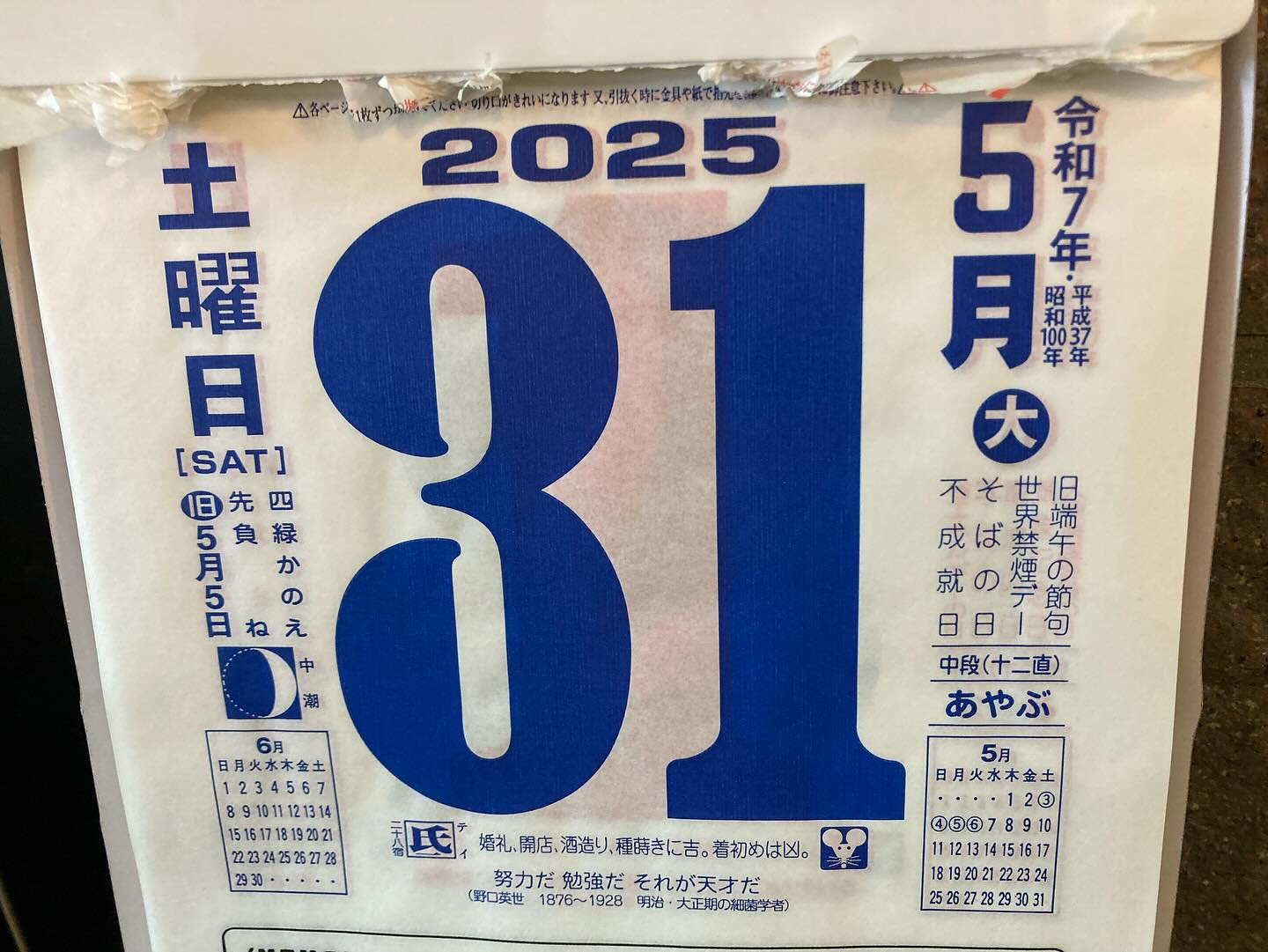 本日のおすすめ