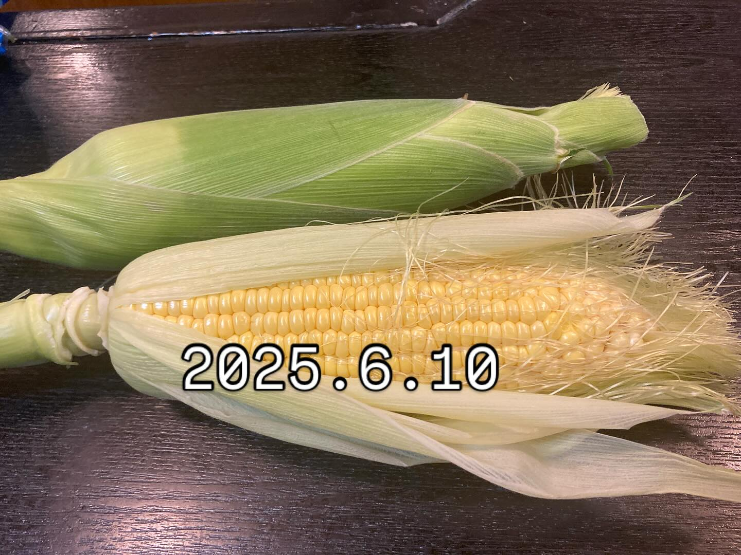 本日のおすすめ