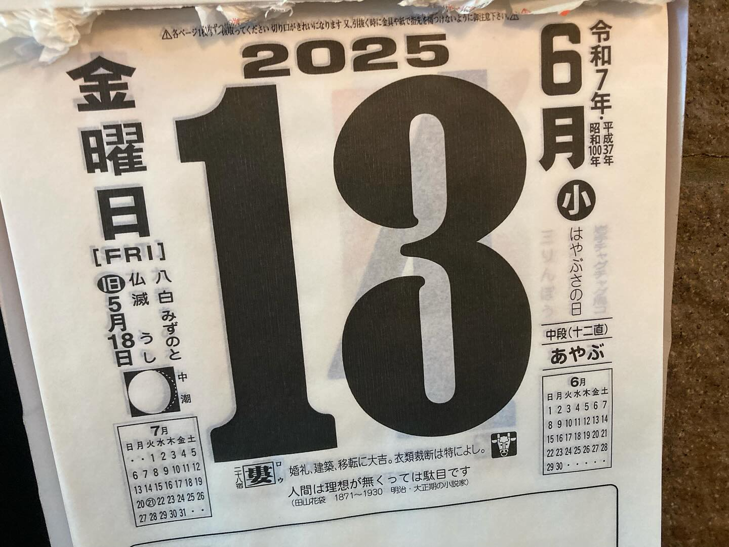 本日のおすすめ