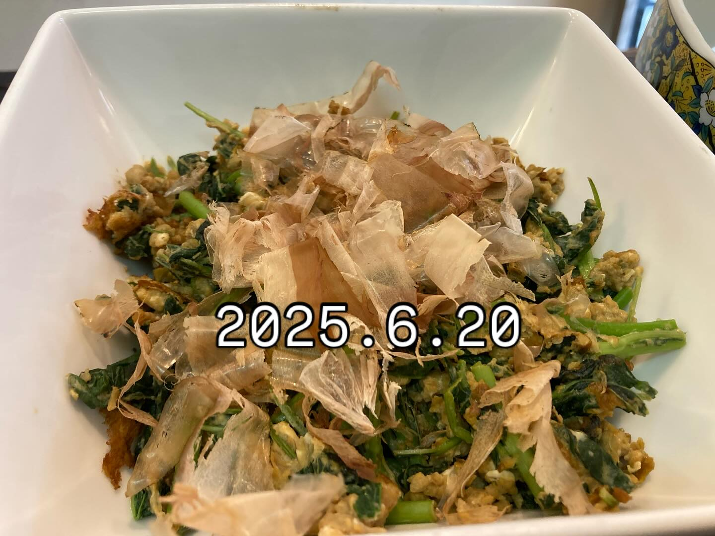 本日のおすすめ