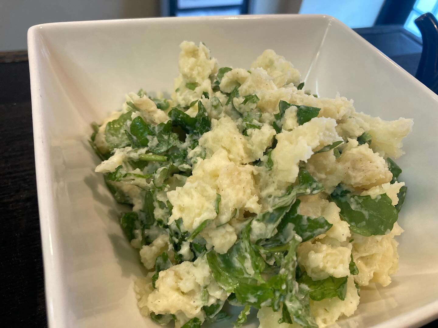 本日のおすすめ