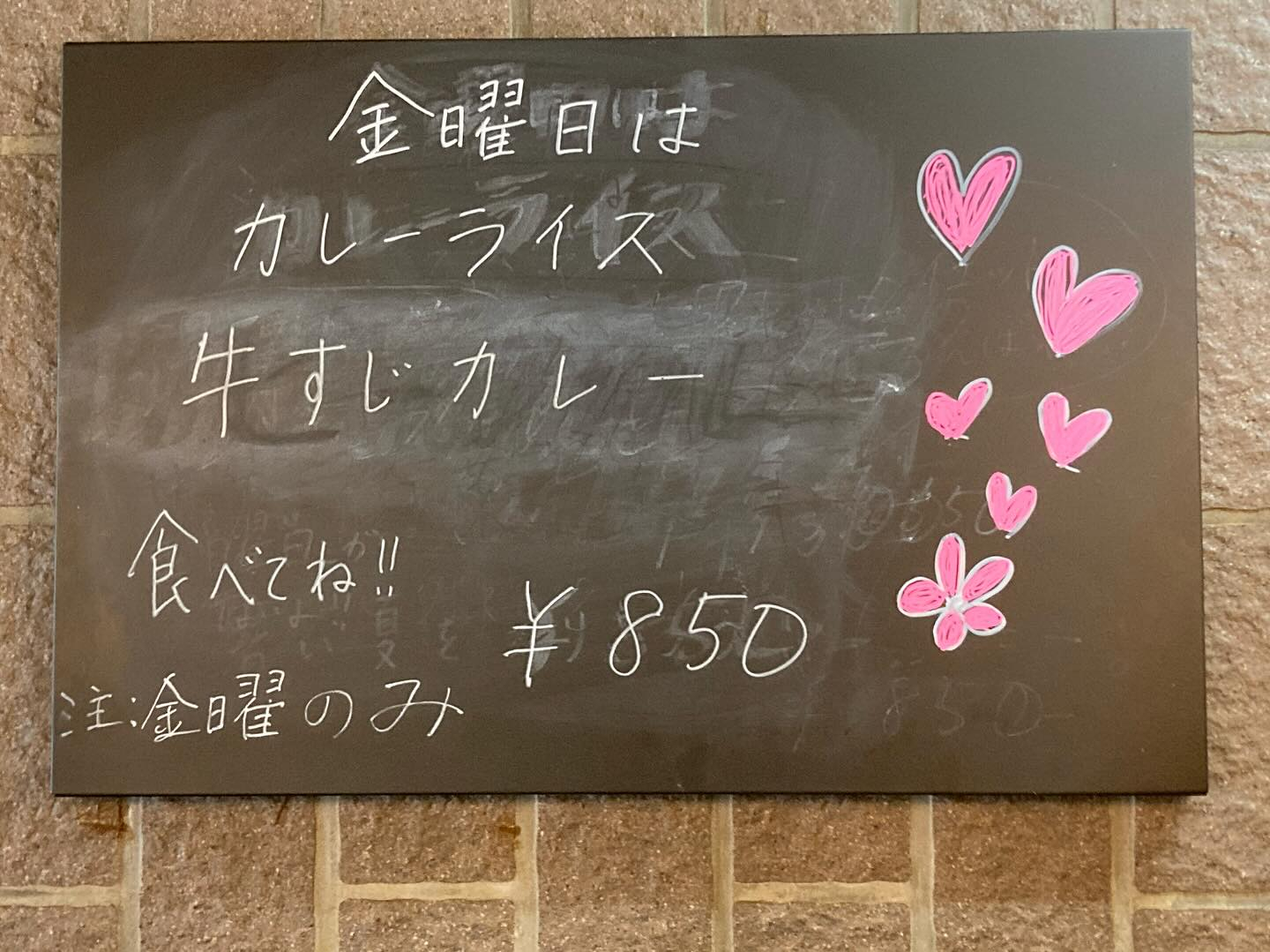 本日のおすすめ