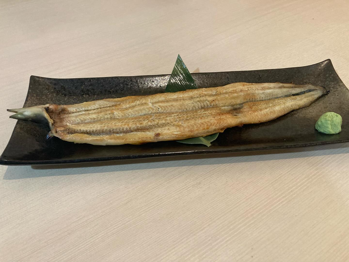 本日のおすすめ