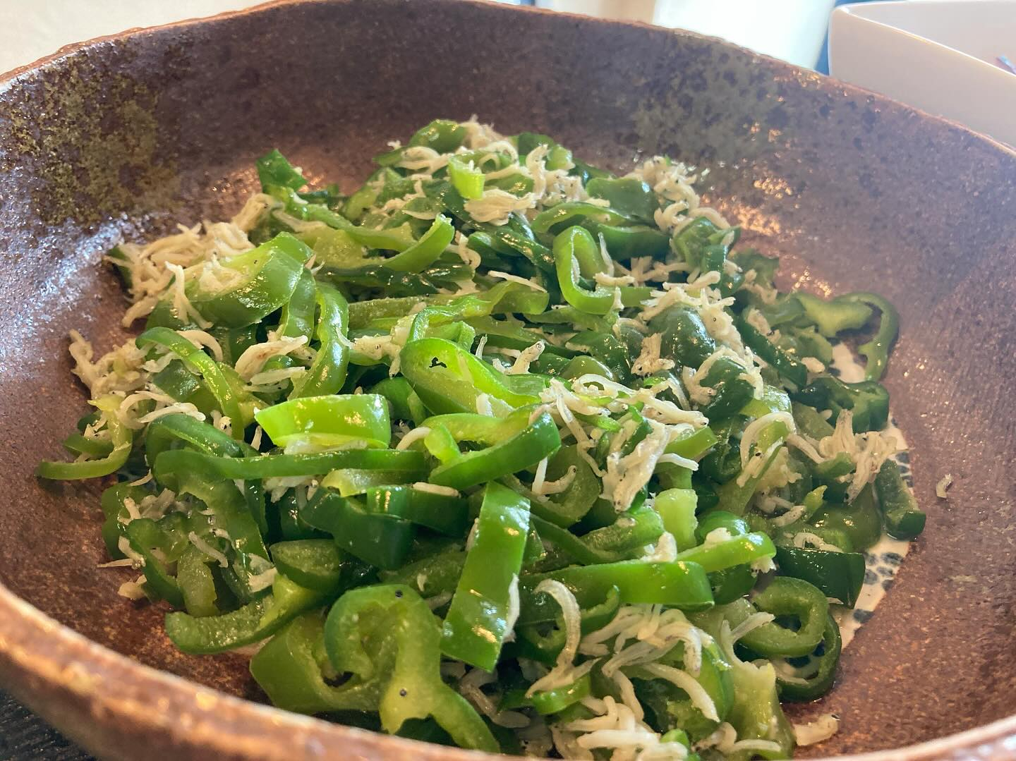 本日のおすすめ