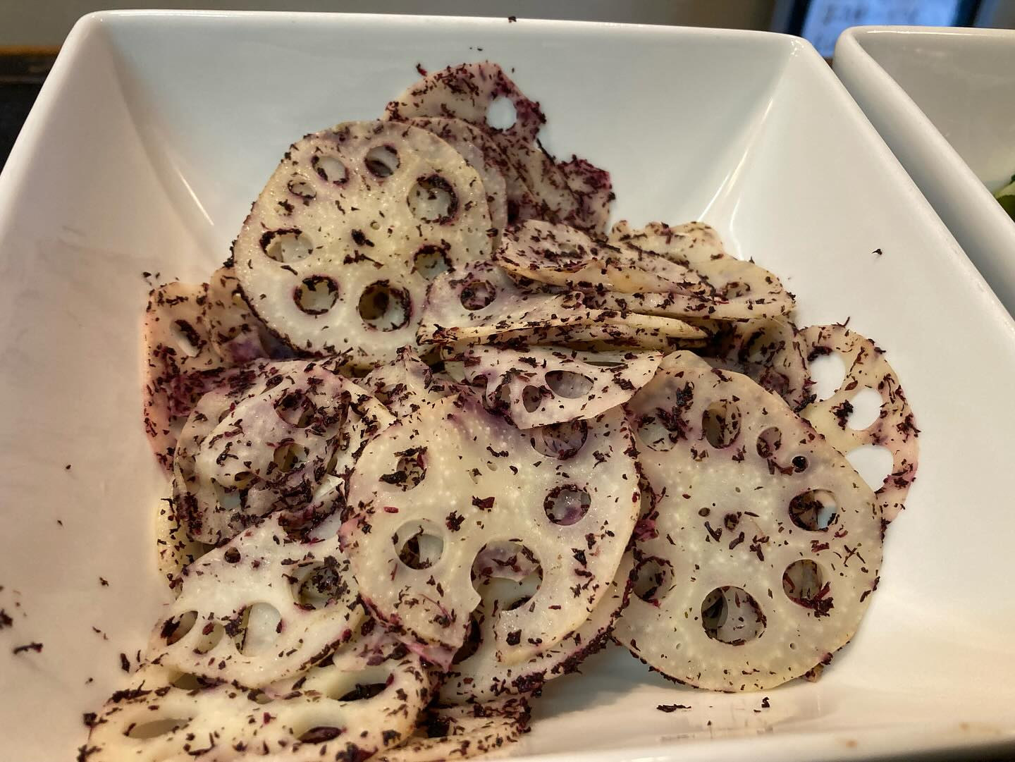 本日のおすすめ