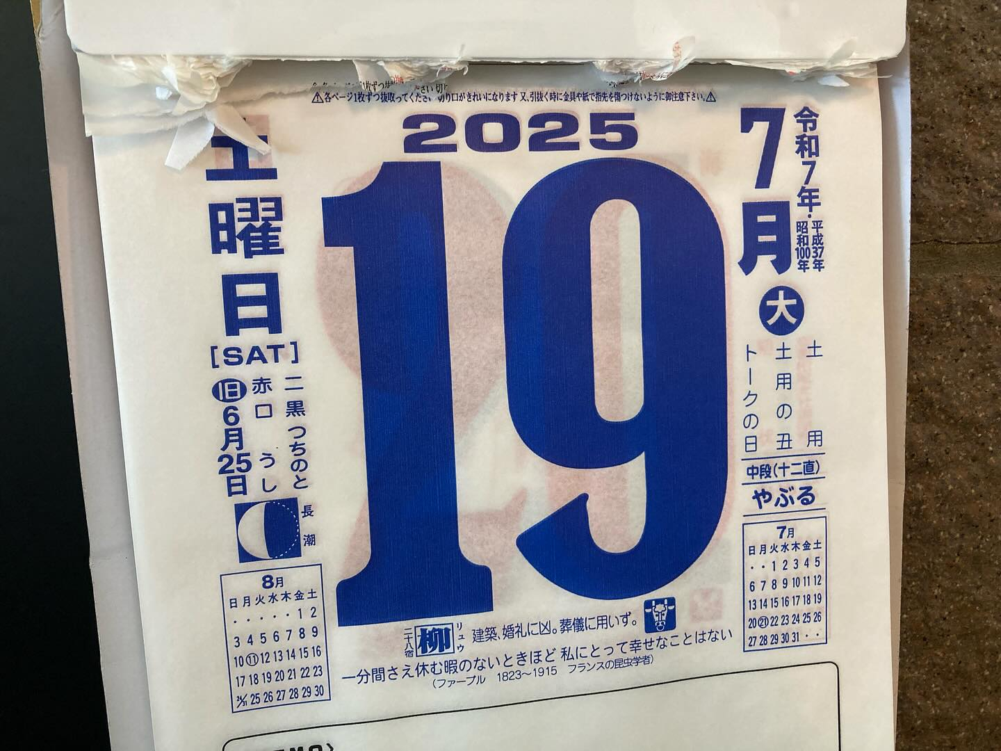 本日のおすすめ