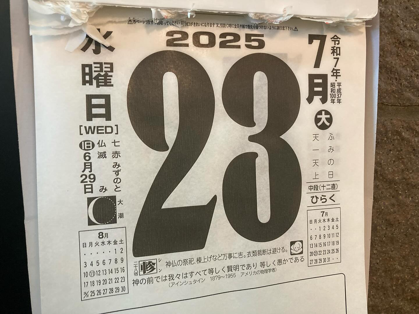 本日のおすすめ