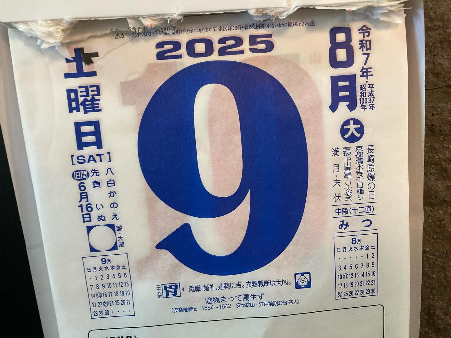 本日のおすすめ