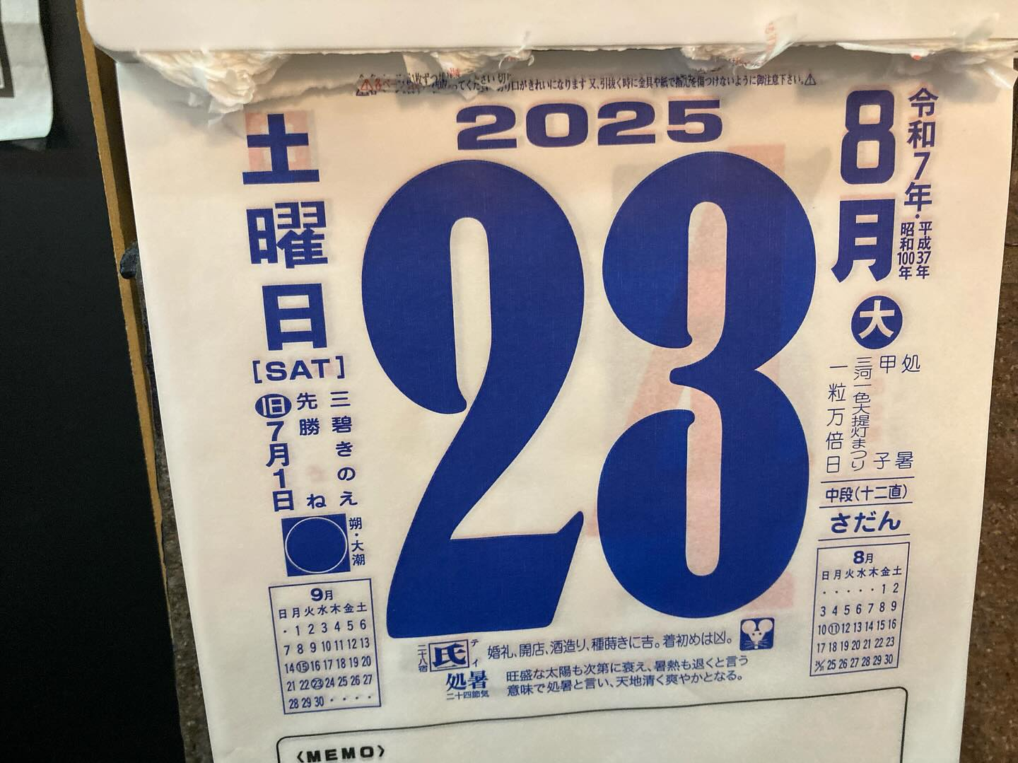 本日のおすすめ