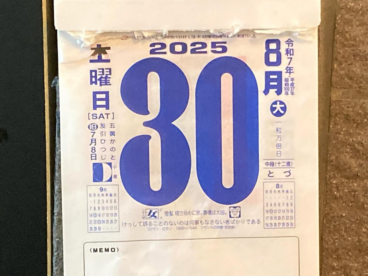 本日のおすすめ