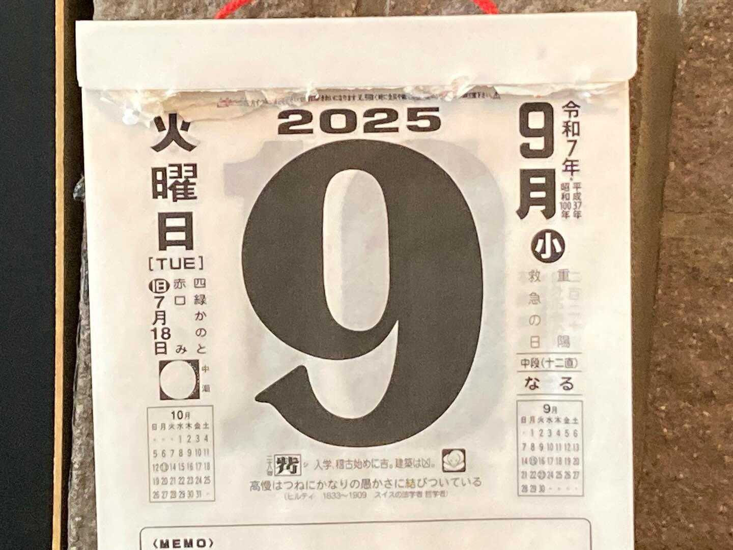 本日のおすすめ