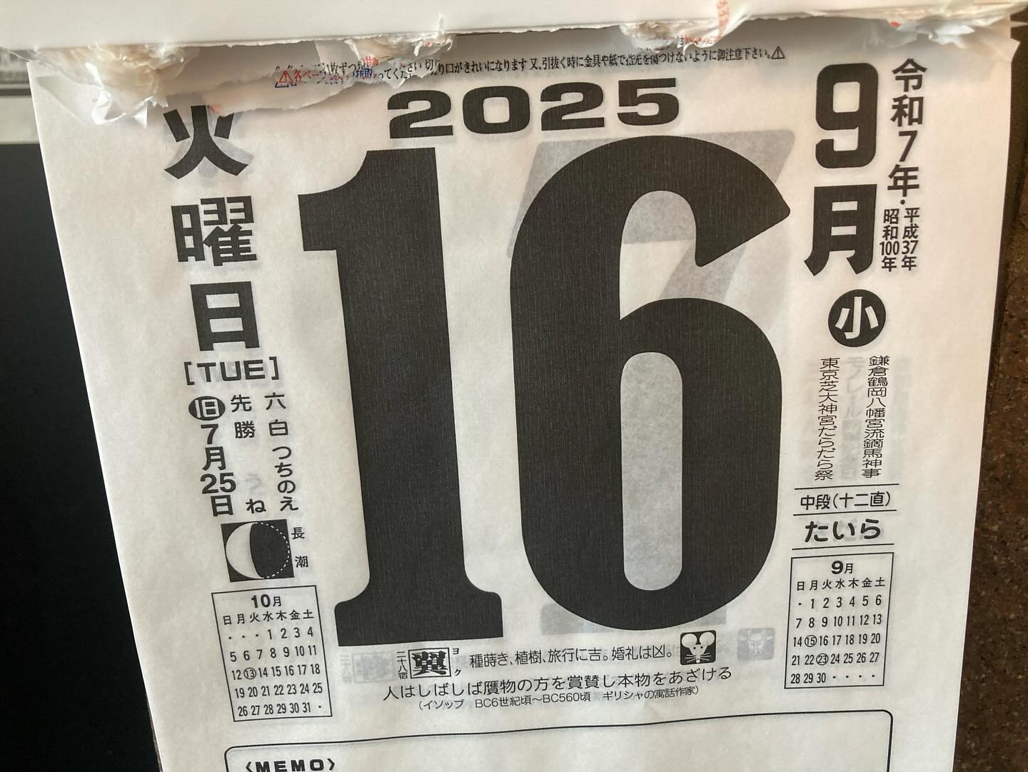 本日のおすすめ