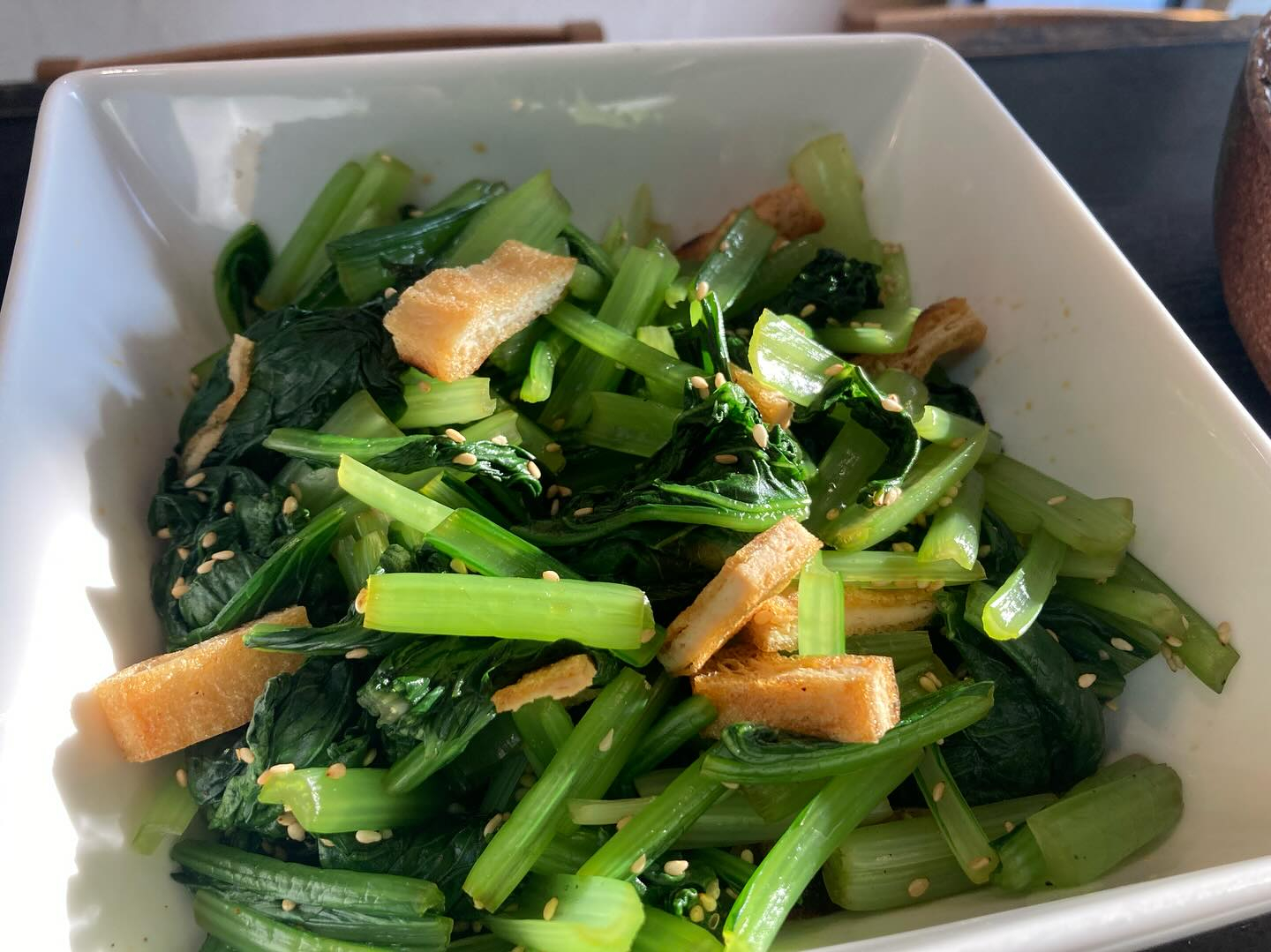 本日のおすすめ