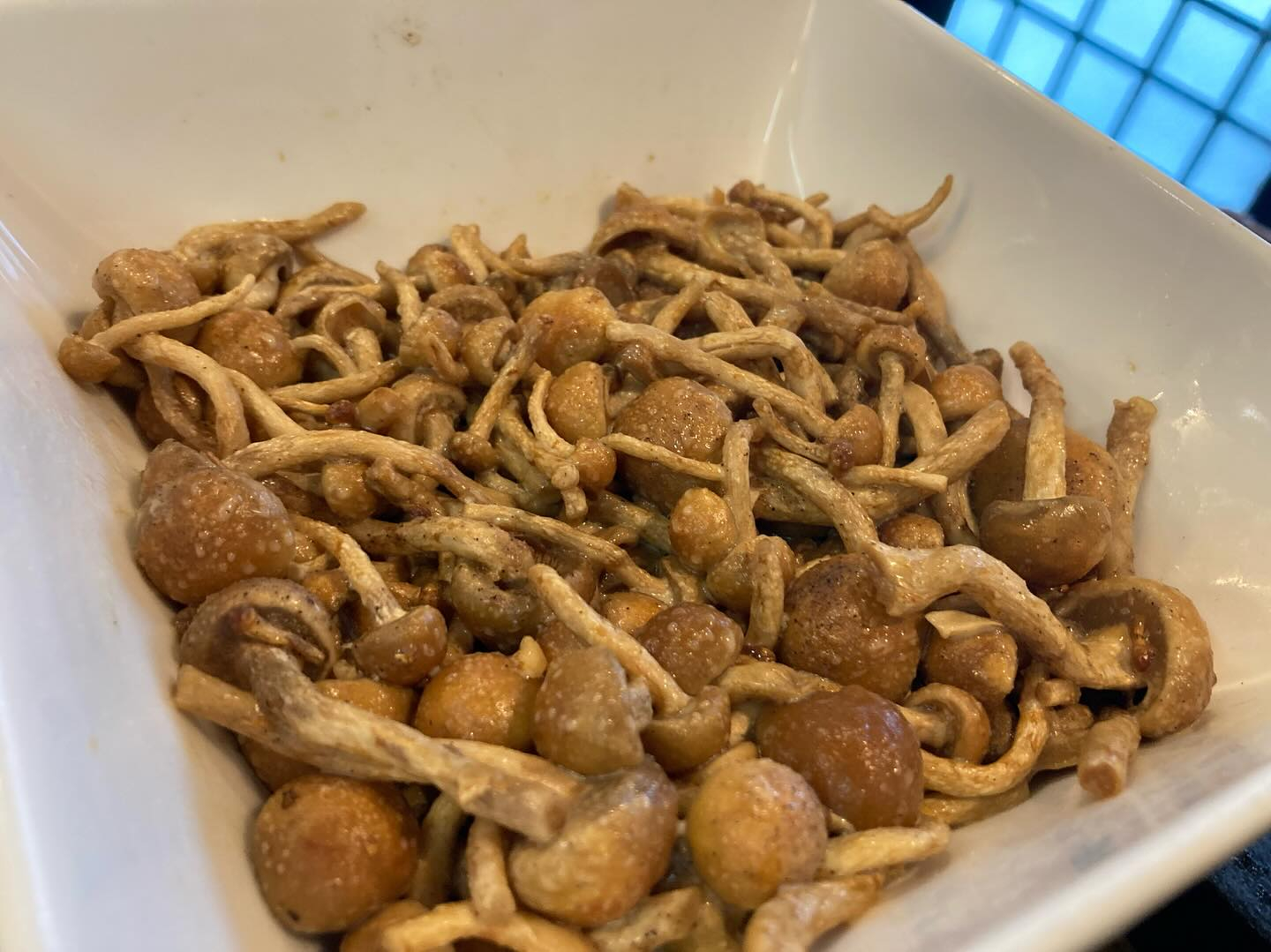 本日のおすすめ