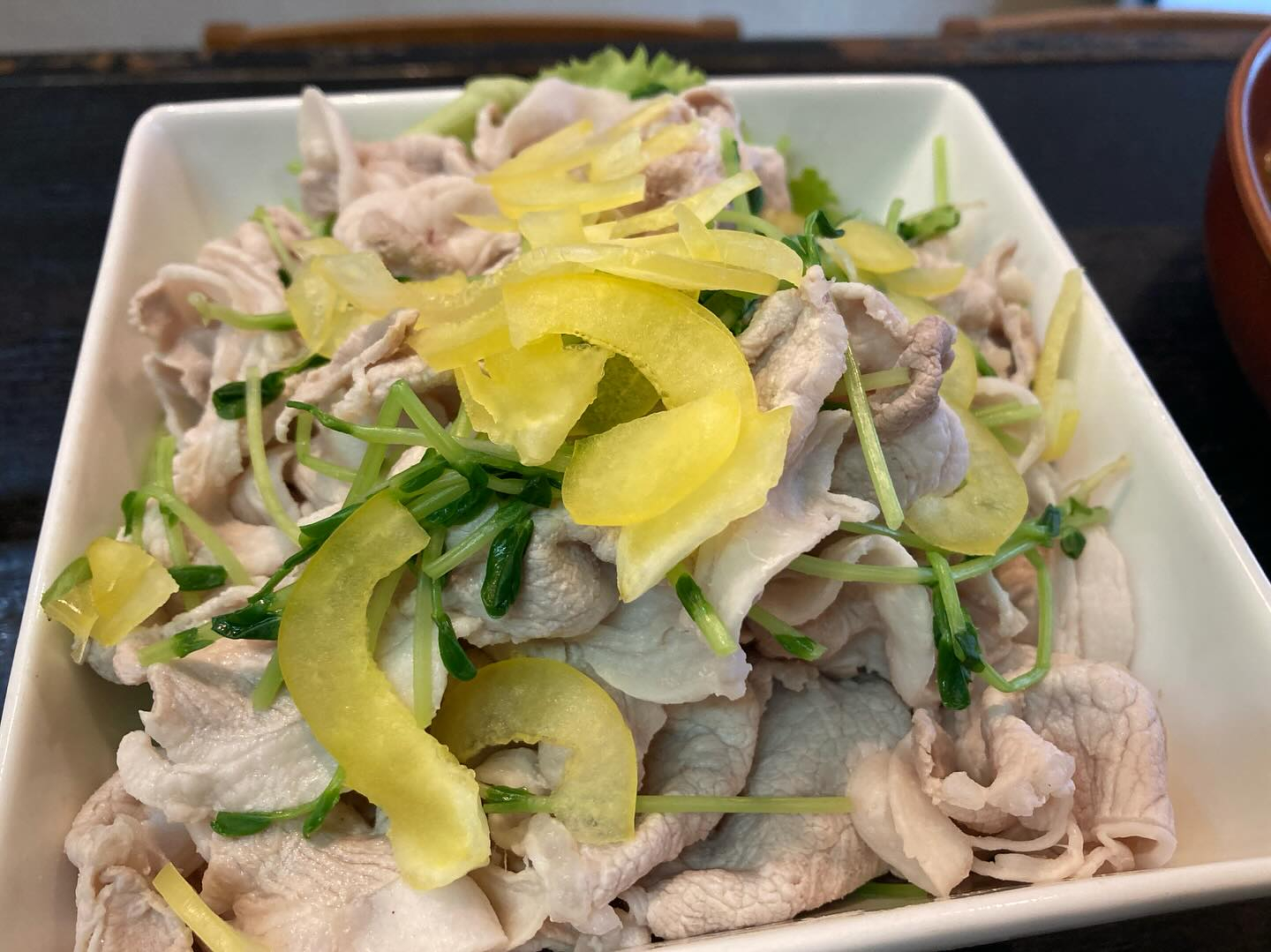 本日のおすすめ