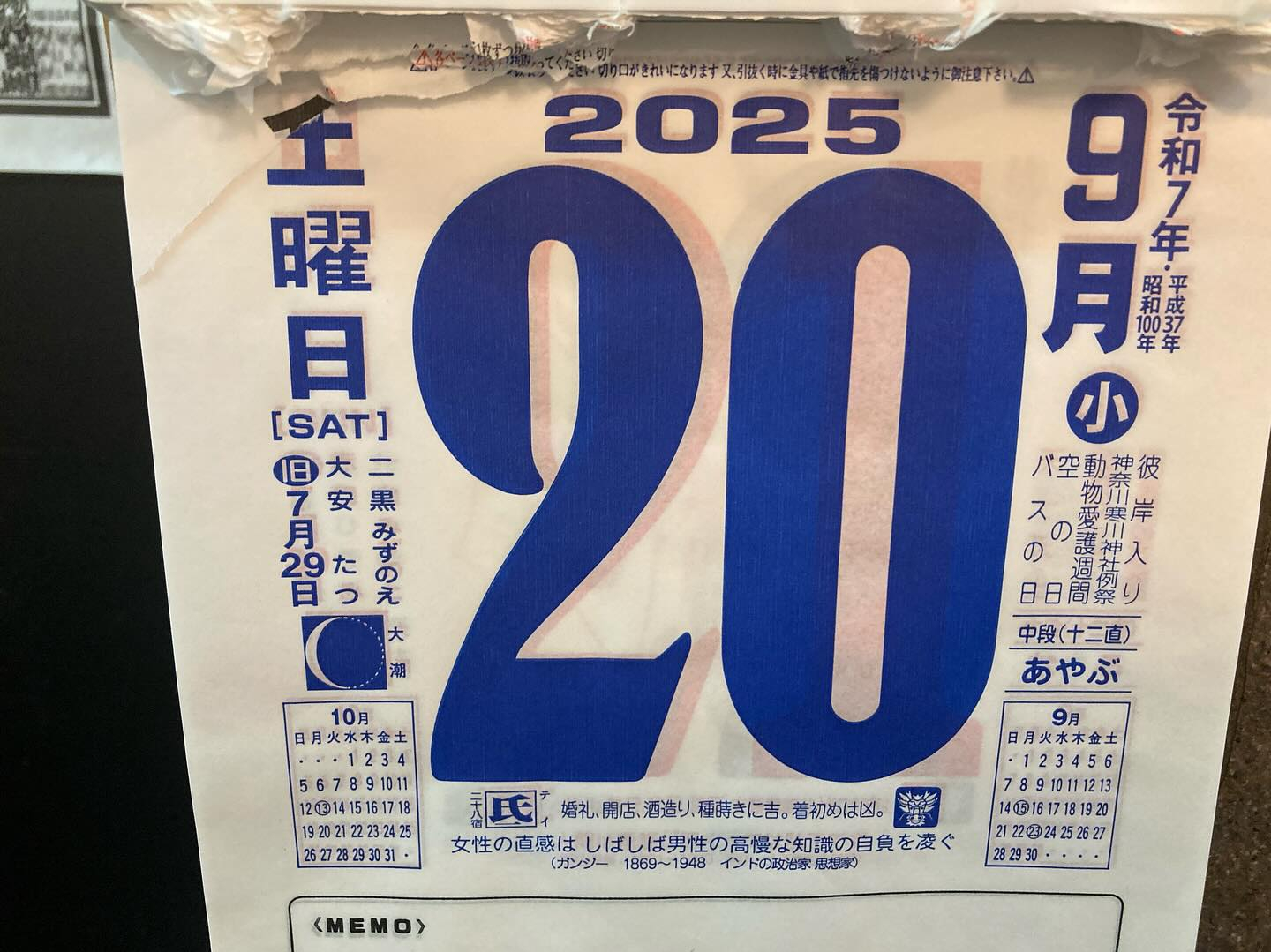 本日のおすすめ