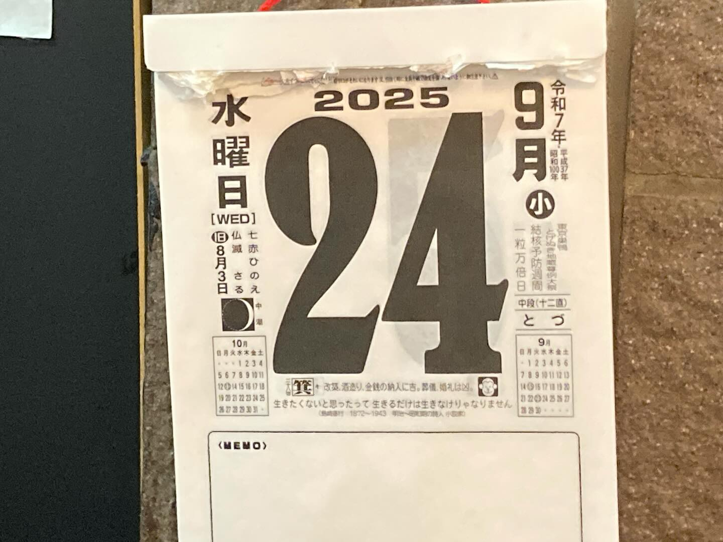 本日のおすすめ