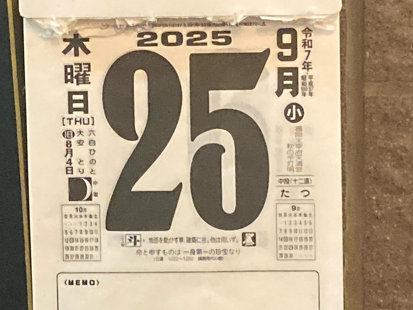 本日のおすすめ