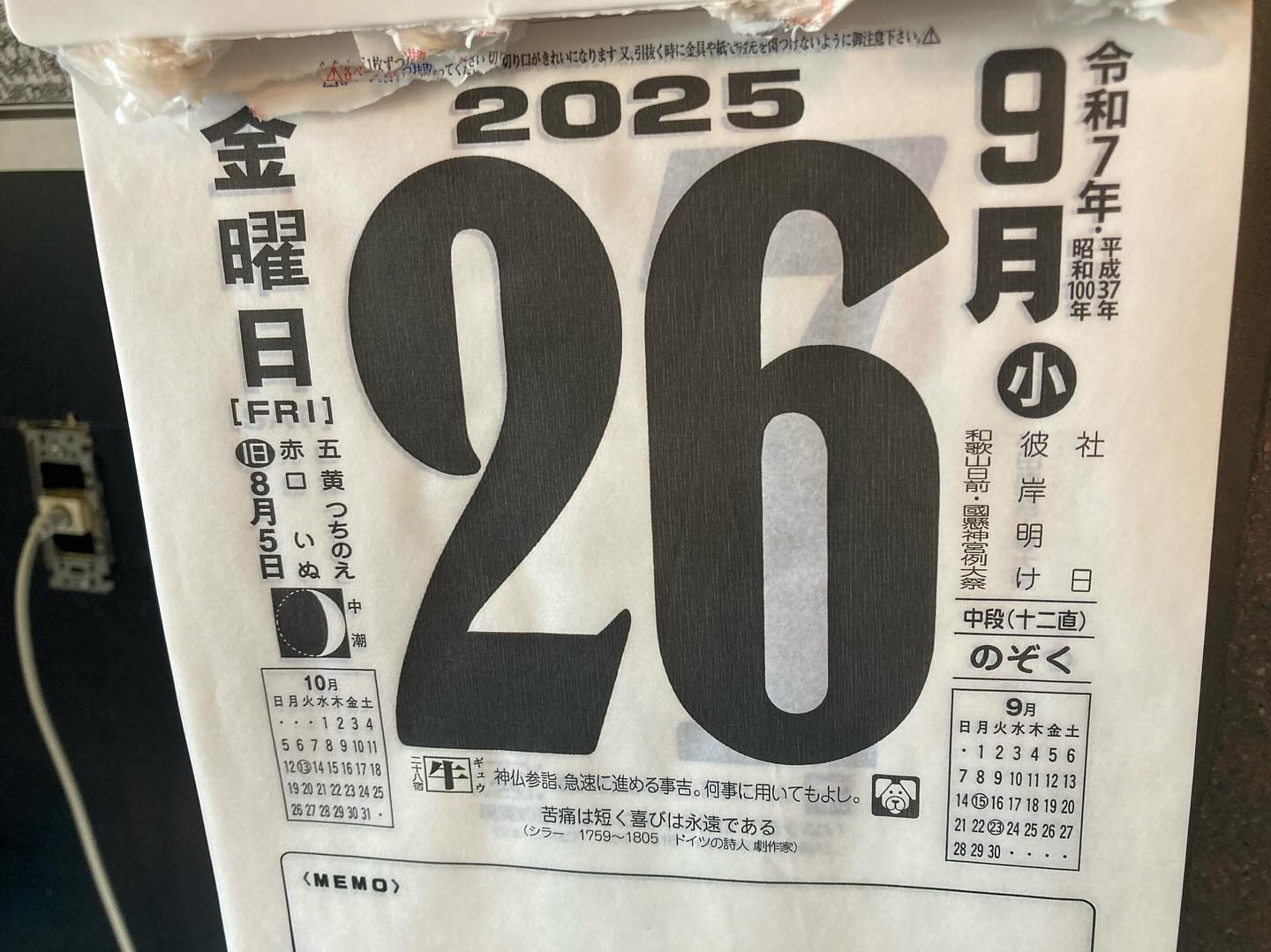 本日のおすすめ