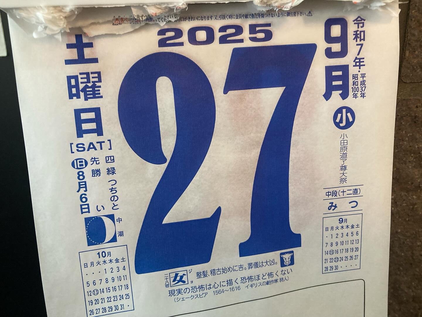 本日のおすすめ