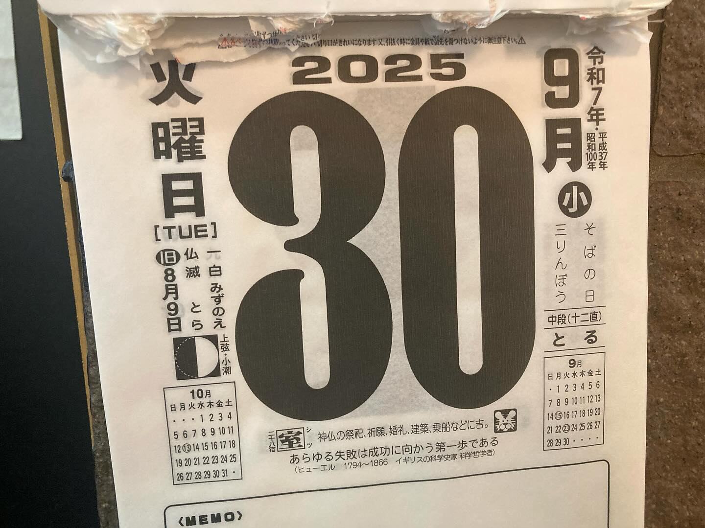 本日のおすすめ