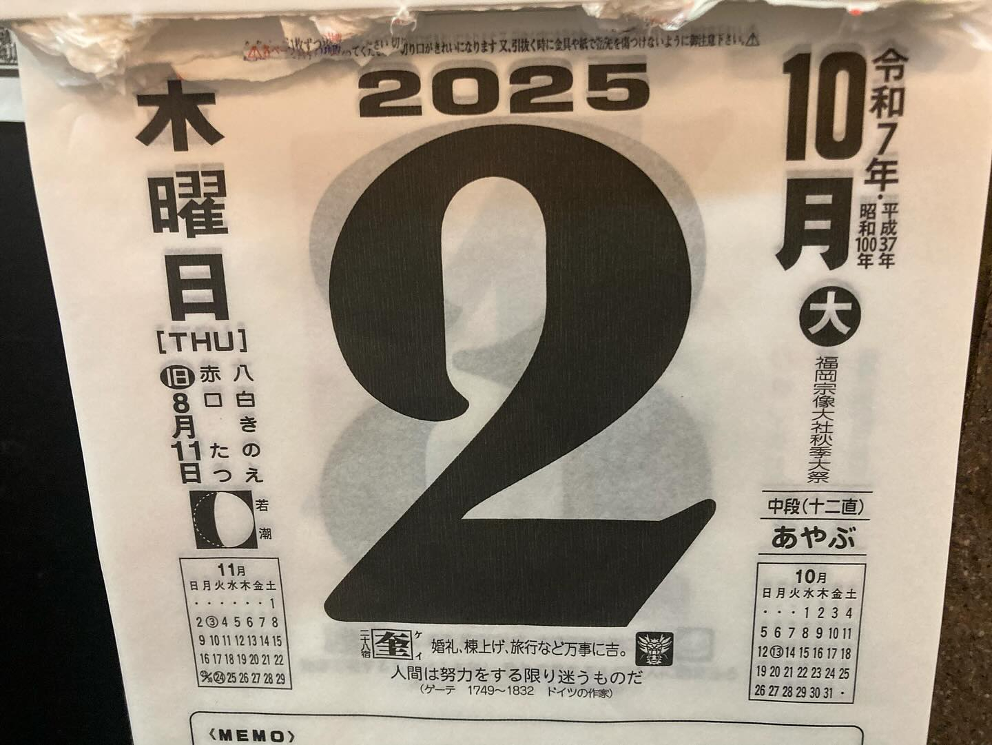 本日のおすすめ