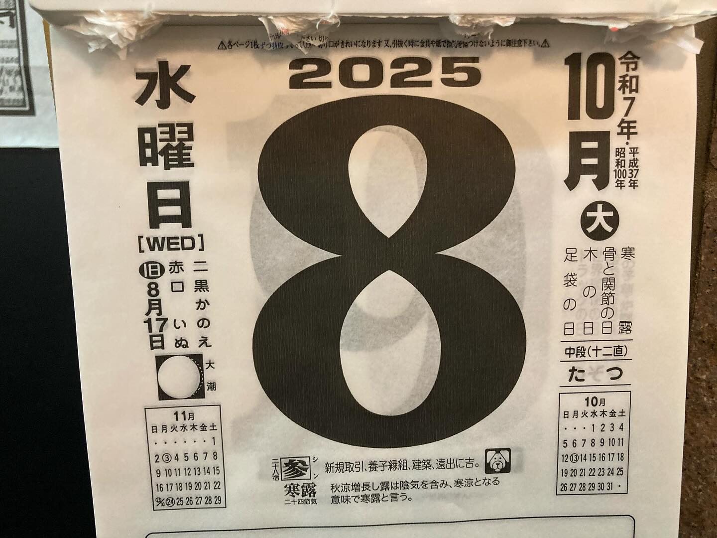 本日のおすすめ