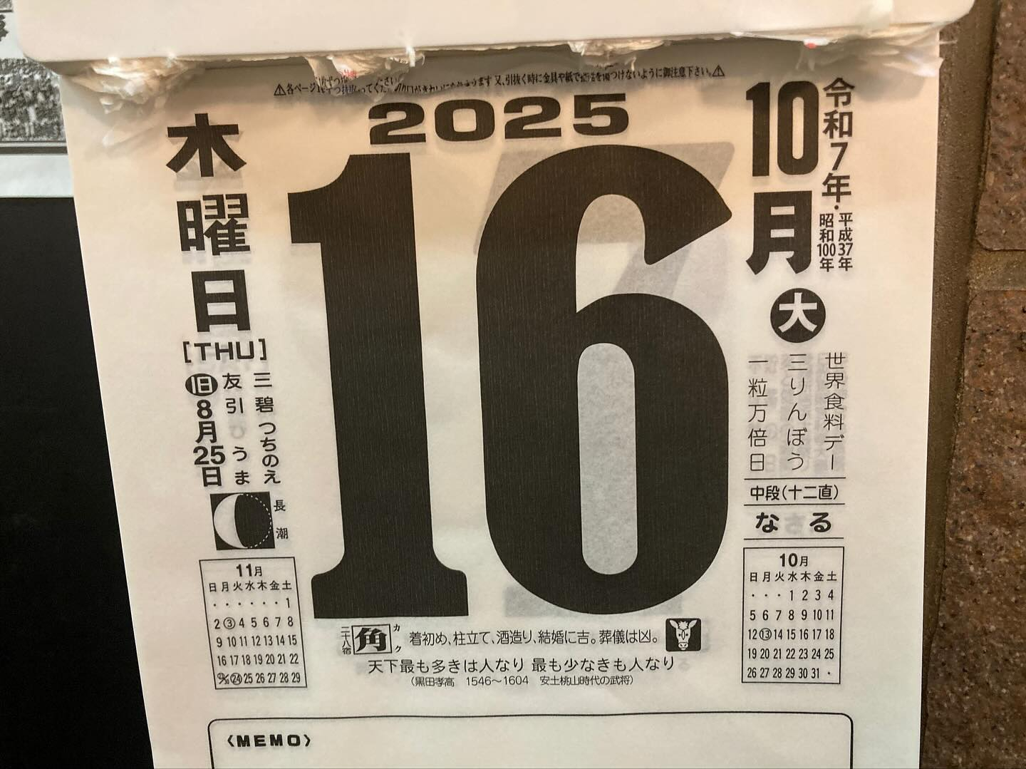 本日のおすすめ