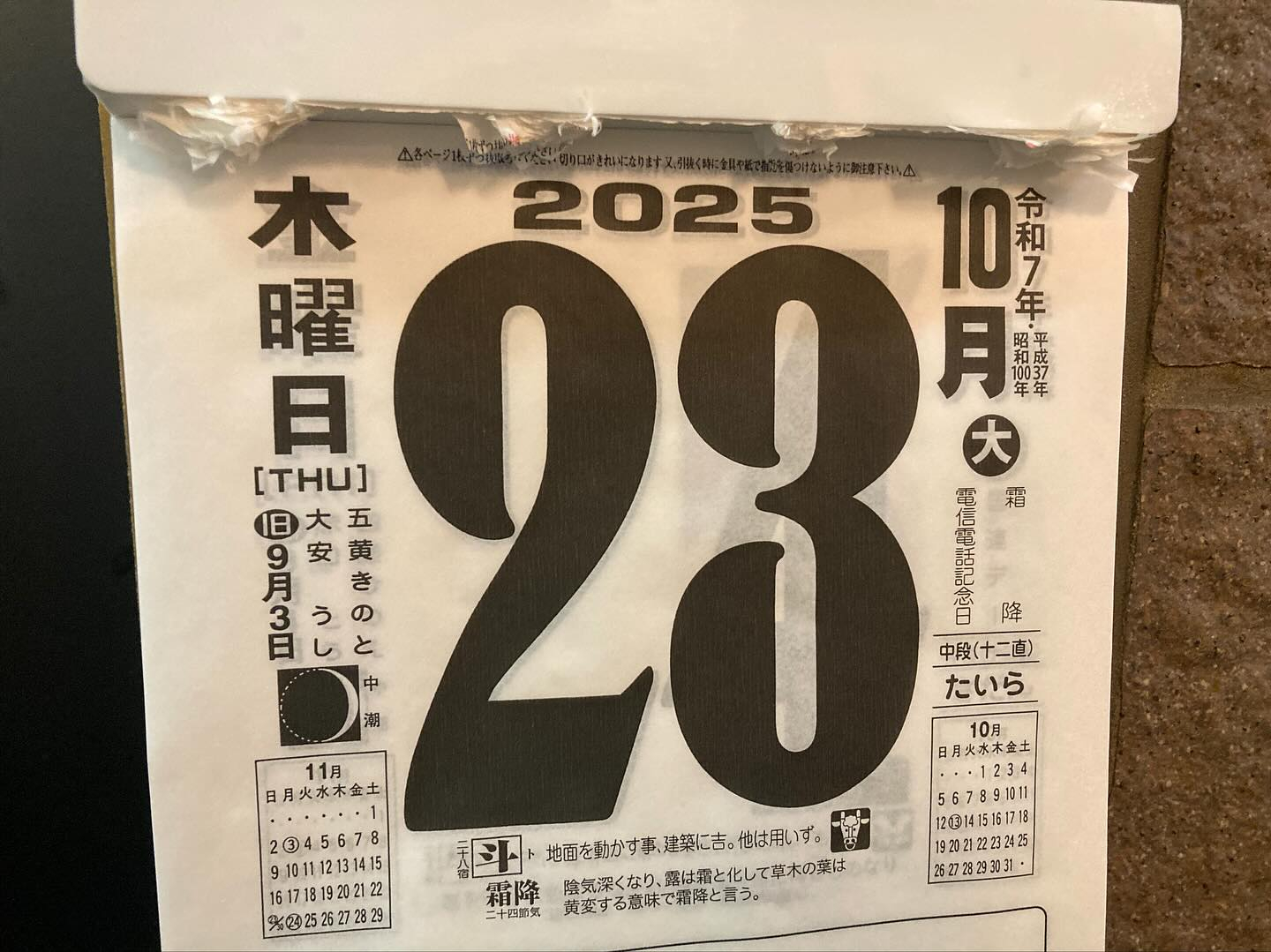 本日のおすすめ