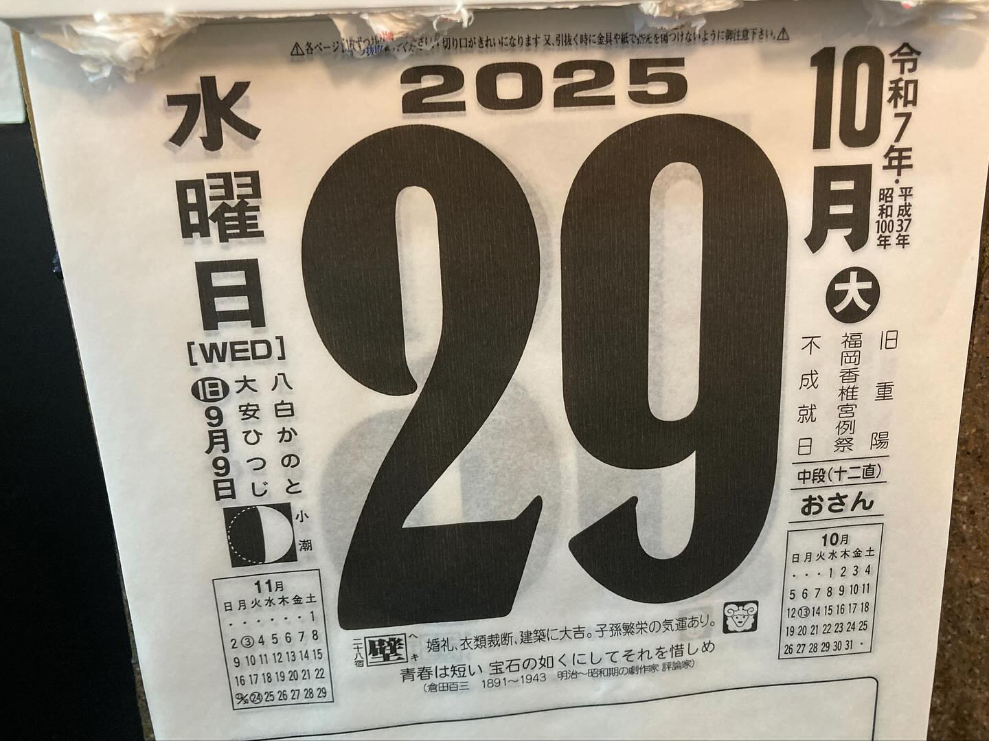 本日のおすすめ