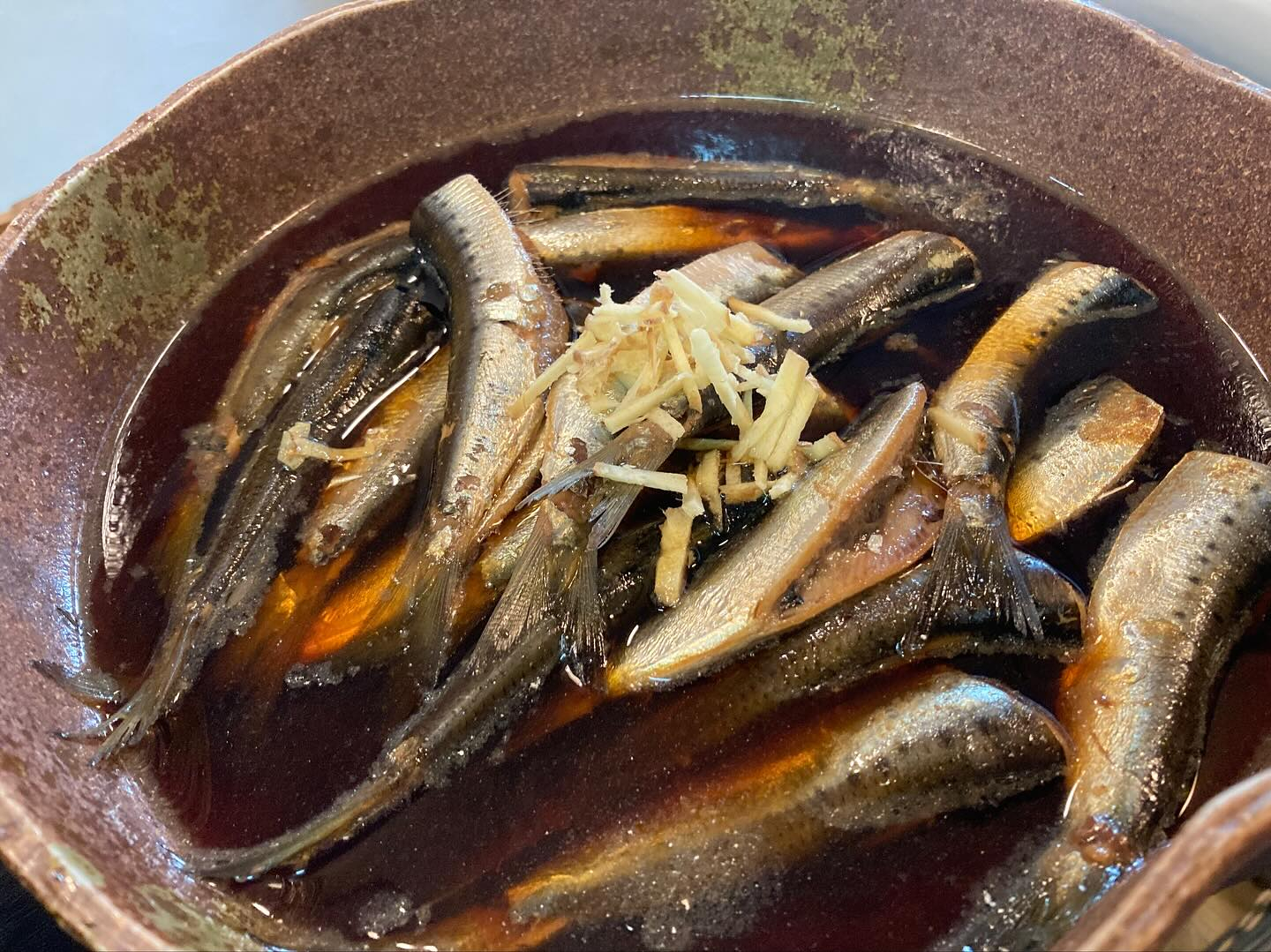 本日のおすすめ