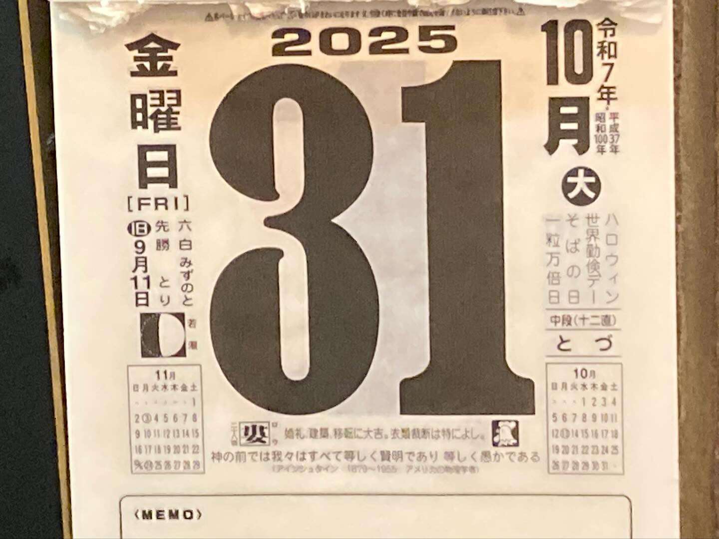 本日のおすすめ