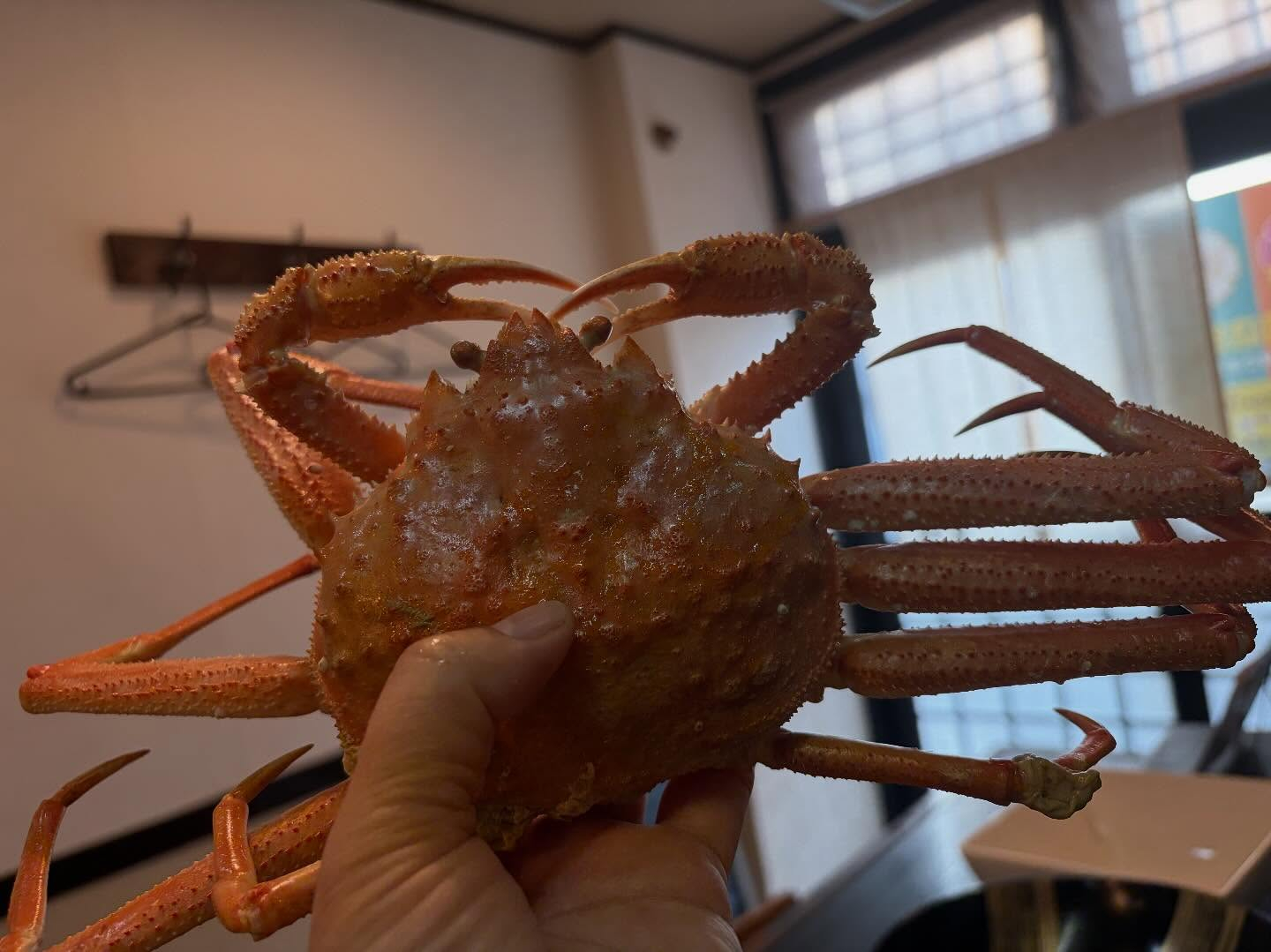 本日のおすすめ