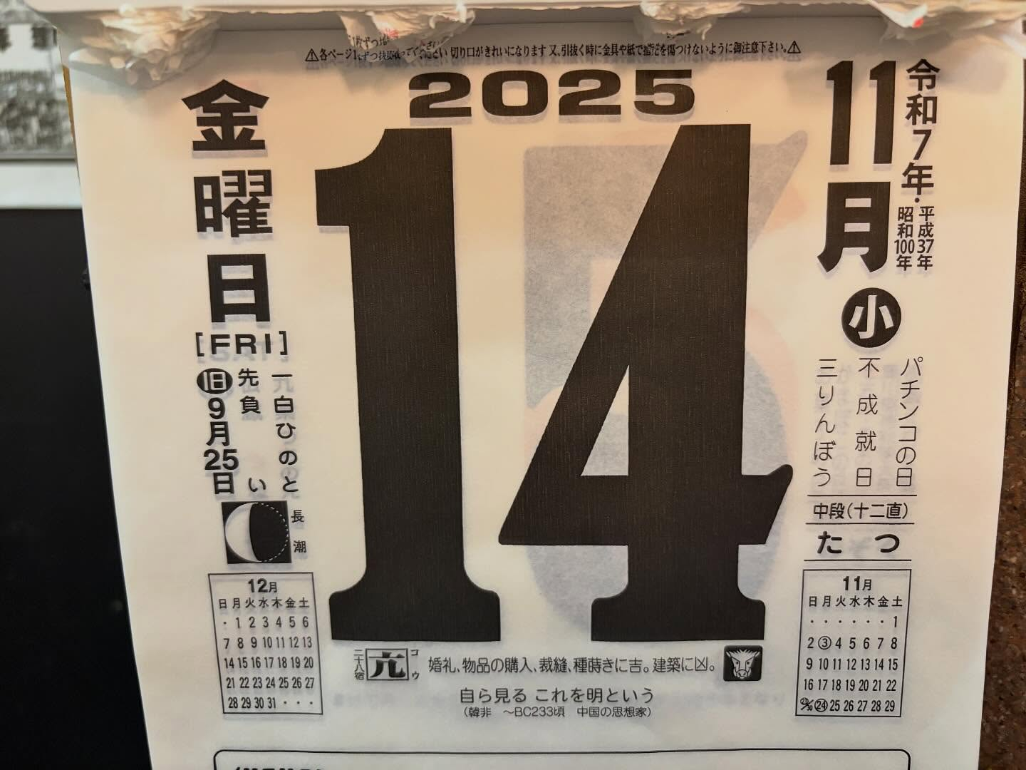 本日のおすすめ